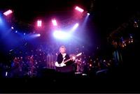 Live Shots